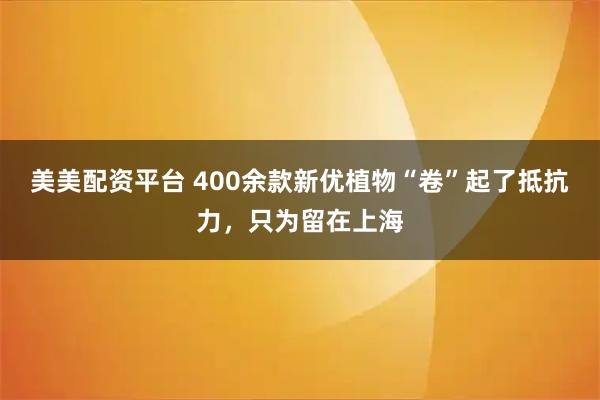 美美配资平台 400余款新优植物“卷”起了抵抗力，只为留在上海